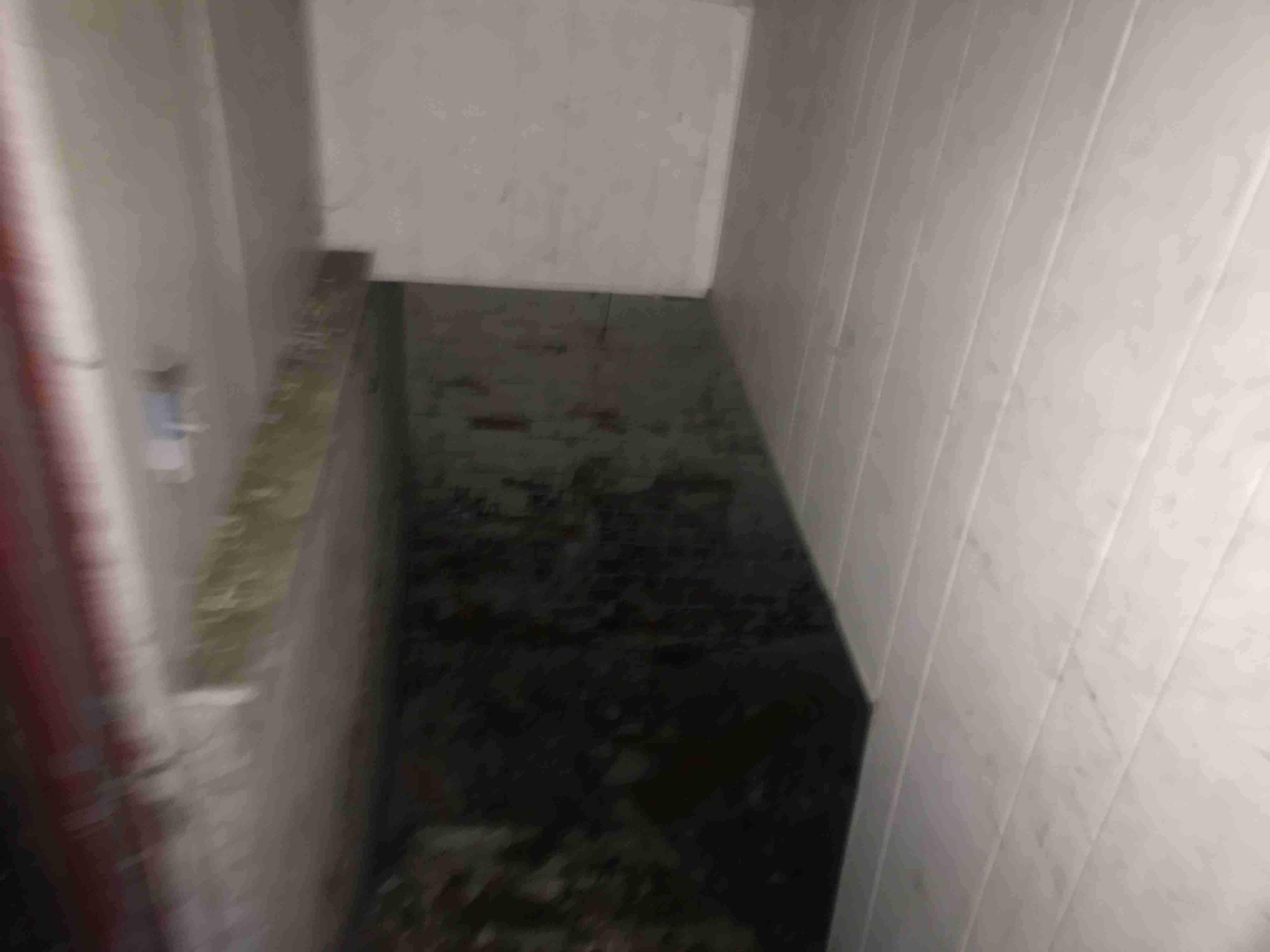 Photo Nov 04, 5 32 59 PM.jpg